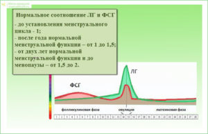 Повышены ЛГ и ФСГ