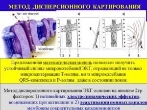 Расшифровка результата дисперсионного картирования