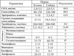 Повышенный СОЭ при орви после нормализации температуры