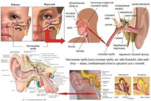 Заложенность уха после промывания носа