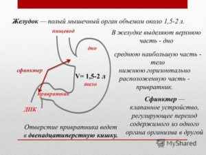 Недостаточность привратника