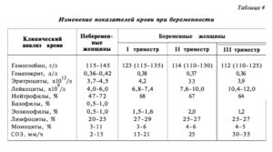 Количество лейкоцитов повышено после родов