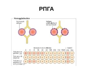 РПГА 4+, лечение было. Опасна ли я для близких и детей?