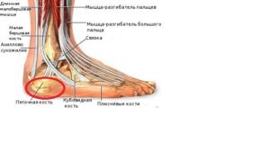 Боль с внешней стороны пятки