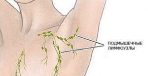 Могут ли у здорового человека прощупываться подмышечные лимфоузлы?