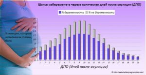 Риск забеременеть после незащищенного ПА