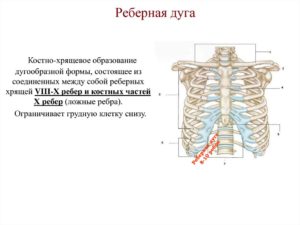 Болит край реберной дуги слева X-XII ребра