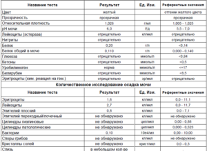 Количество лейкоцитов повышено после родов