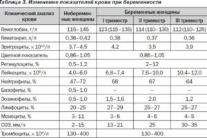 Количество лейкоцитов повышено после родов