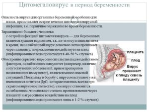 Цитомегаловирус и беременность