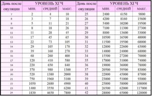 ХГЧ при оплодотворении яйцеклетки