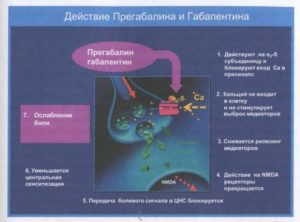 От габапентина бывает физическая зависимость?