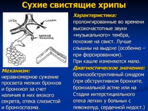 Свист в легких во время кашля у ребёнка