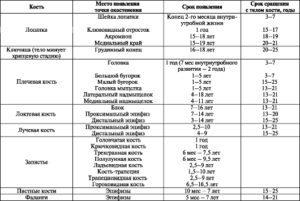 Размеры ядер головок окостенения