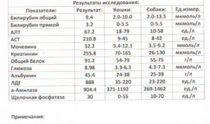 При приеме урсосана стали повышаться алт, аст и билирубин