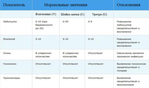 Мазок на флору сразу после окончания менструации