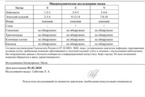 Расшифровка анализа микроскопия исследования мазка