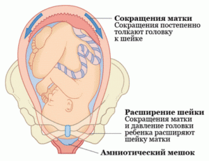 Причины уменьшения матки