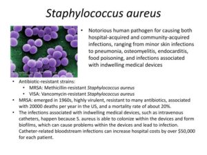 Moraxella cararrhalis 10в4 и staphylococcus aureus 10в5 нужно ли лечение