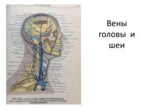 Вены головы и шеи отклонения