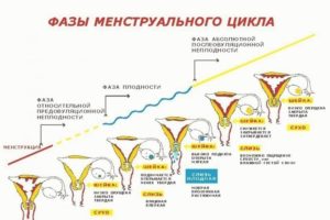 Шейка матки очень низко, прозрачные выделения, тянет низ живота сильно