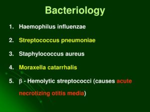 Moraxella cararrhalis 10в4 и staphylococcus aureus 10в5 нужно ли лечение