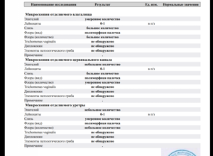Микроскопия отделяемого влагалища расшифровка