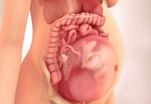Беременность 24 недели, появились ощущения распирания во влагалище