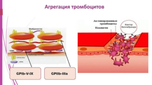 Агрегация тромбоцитов