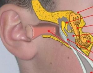 Заложенность уха и носа справа