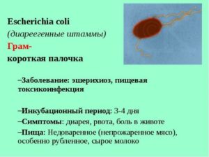 Escherichia coli в зеве