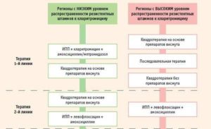 Хеликобактер у ребенка 4 года