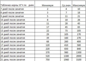 ХГЧ при оплодотворении яйцеклетки