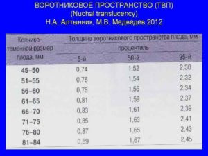 Воротниковое пространство