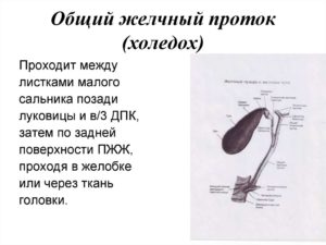 Расширен холедох