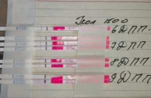 Тест на беременность после укола ХГЧ