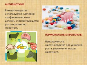Антибиотики с гормональными средствами