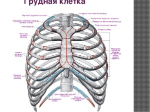 Болит край реберной дуги слева X-XII ребра