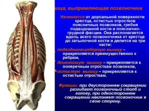 Патологическое образование мягких тканей паравертебральной мышцы спины