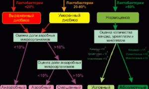 Дисбиоз выраженный неясной этиологии