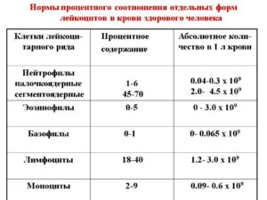 Уровень лейкоцитов 3,6-3,9 у 18-летнего парня