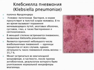 Клебсиелла пневмония в мазке при беременности