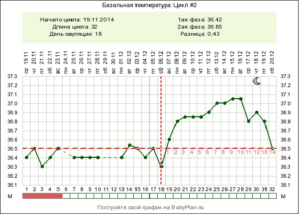 Цикл 31-32 дня