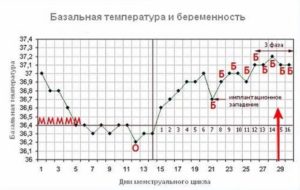 Базальная температура консультация