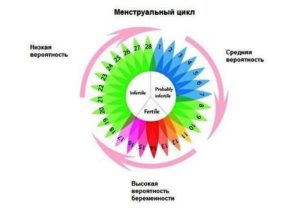 Вероятность зачатия на 6 день цикла