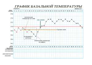 Овуляция при низкой базальной температуре