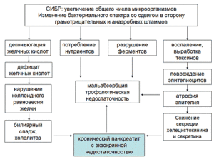 Синдром избыточного бактериального роста