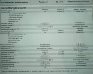 Флора смешанная, преимущественно палочковая