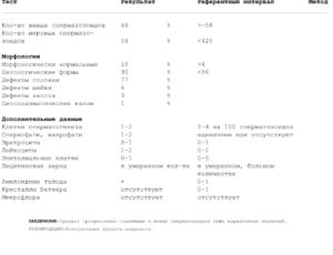 Расшифровка спермограммы, консультация андролога