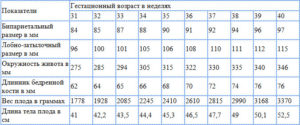 Длина бедренной кости плода